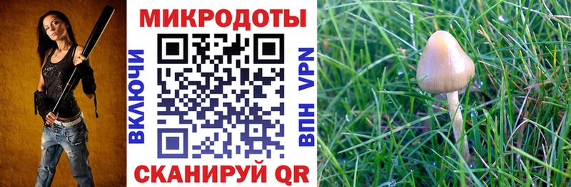 Галлюциногенные грибы мицелий  omg   Починок 